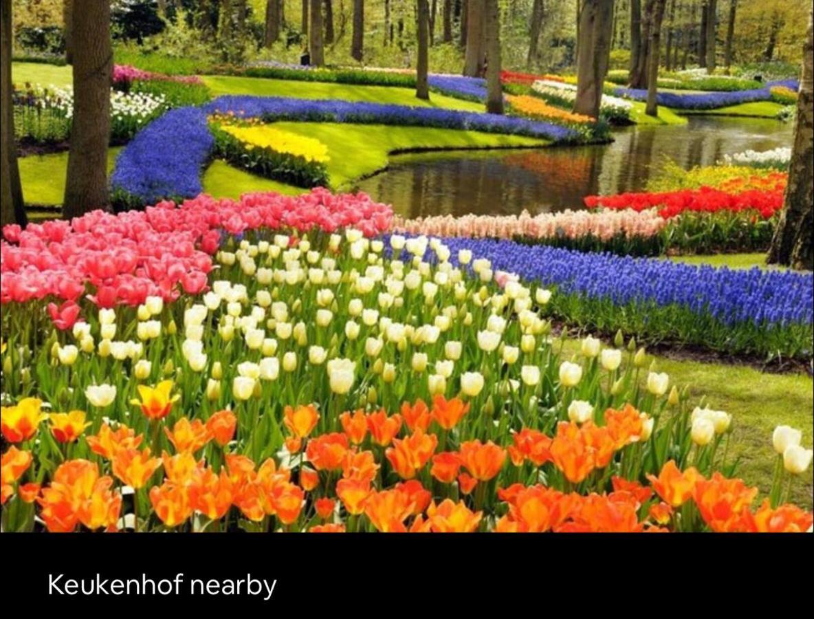 Wellness Bungalow With Jacuzzi &Sauna&Private Garden Near Amsterdam Vijfhuizen エクステリア 写真